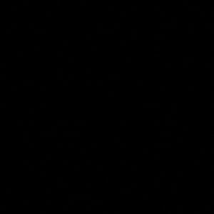 Meet your Posher, Laranesha